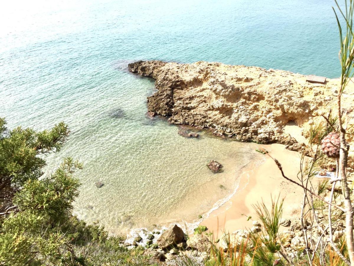 Synergie Si01 - Ideal Para Descansar Salou Exterior photo